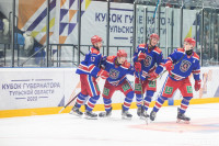Соревнования по хоккею за Кубок губернатора Тульской области, Фото: 116