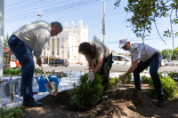 Зеленая акция на проспекте Ленина, Фото: 42
