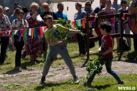 В Тульской области прошел фестиваль крапивы, Фото: 74