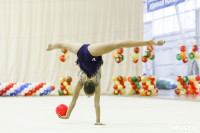 Художественная гимнастика. «Осенний вальс-2015»., Фото: 82