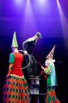 Успейте посмотреть шоу «Новогодние приключения домовенка Кузи» в Тульском цирке, Фото: 54