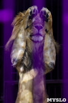 Шоу фонтанов «13 месяцев»: успей увидеть уникальную программу в Тульском цирке, Фото: 223