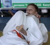 В Туле открылся Всероссийский турнир по дзюдо, Фото: 13