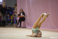 Всероссийский турнир по художественной гимнастике, Фото: 66