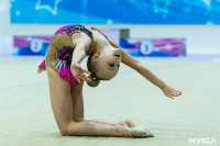 Тула провела крупный турнир по художественной гимнастике, Фото: 96