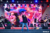 Праздничный концерт и салют Победы в Туле, Фото: 90