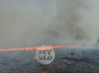 В Туле загорелось поле, Фото: 3