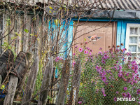 Село Панино десятки лет живет без дорог и воды, Фото: 16