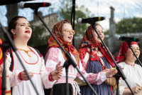 Фестиваль Крапивы, Фото: 82