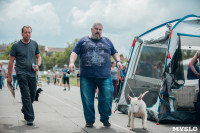 Всероссийская выставка собак в Туле, Фото: 10
