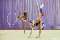 Всероссийские соревнования по художественной гимнастике на призы Посевиной, Фото: 55