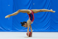 Художественная гимнастика, Фото: 87