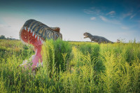Парк динозавров, Фото: 1