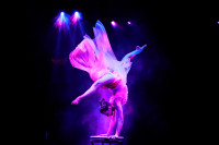 Новое грандиозное шоу Гии Эрадзе «Королевский цирк» стартует в Тульском цирке, Фото: 90