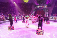 Шоу Гии Эрадзе «5 континентов» в Тульском цирке: феерия уже началась!, Фото: 42
