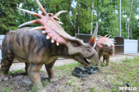 В Туле появился парк с интерактивными динозаврами, Фото: 16