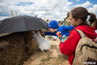 День поля в Тульской области: Гигантская техника, шубы из кроликов и мастер-класс по сыроварению, Фото: 45