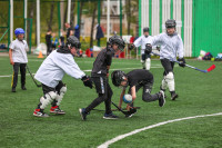 Дворовый хоккей: в Туле и Новомосковске определили сильнейшие команды , Фото: 11