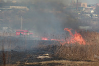 Возгорание сухой травы напротив ТЦ "Метро", 7.04.2014, Фото: 25