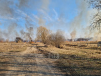 В Федоровке огонь с горящего поля едва не перекинулся на дома, Фото: 27