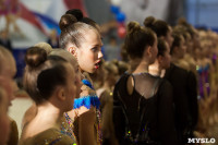 Всероссийские соревнования по художественной гимнастике на призы Посевиной, Фото: 15