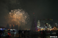 Открытие главной ёлки на площади Ленина, Фото: 53