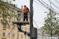 Над деревьями на проспекте Ленина начали поднимать провода, Фото: 1