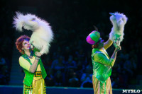 "Тайна пирата" в Тульском цирке, Фото: 94