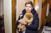 Выставка собак в ДК "Косогорец", Фото: 26