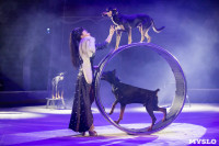 Премьера новогоднего шоу в Тульском цирке, Фото: 85