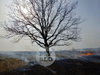 В Туле загорелось поле, Фото: 21