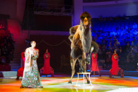 Тульский цирк, Фото: 70