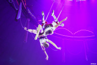 Шоу Гии Эрадзе «5 континентов» в Тульском цирке: феерия уже началась!, Фото: 6