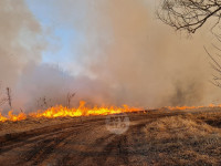 В Федоровке огонь с горящего поля едва не перекинулся на дома, Фото: 7