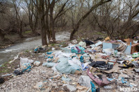В Туле на берегу Тулицы обнаружен незаконный мусорный полигон, Фото: 36