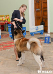 Выставки собак в ДК "Косогорец", Фото: 24