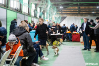 Выставка собак в Туле 24.11, Фото: 93