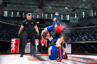 В «Тула-Арене» состоялись областные соревнования по ММА, Фото: 21