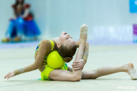 Тула провела крупный турнир по художественной гимнастике, Фото: 156