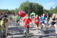 В Центральном парке прошел "Тульский марафон 2017", Фото: 206