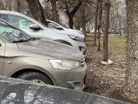 В Туле за парковку на газонах будут штрафовать на 2 тысячи рублей, Фото: 2