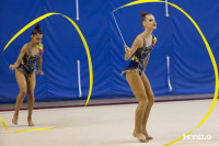 В Туле стартовало первенство Центрального федерального округа по художественной гимнастике, Фото: 48