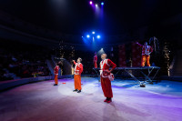 Успейте посмотреть шоу «Новогодние приключения домовенка Кузи» в Тульском цирке, Фото: 87