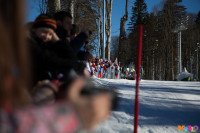 Состязания лыжников в Сочи., Фото: 59