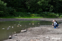 Почему обмелел пруд в Рогожинском парке Тулы?, Фото: 17
