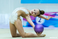 Тула провела крупный турнир по художественной гимнастике, Фото: 161