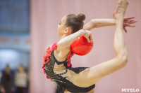 Всероссийский турнир по художественной гимнастике, Фото: 105
