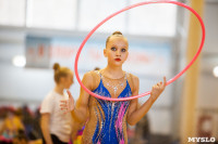Соревнования по художественной гимнастике "Тульский сувенир", Фото: 68