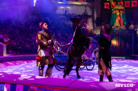 Цирковое шоу Жар птица, Фото: 86