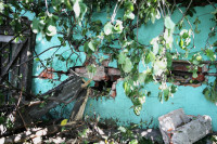 В Барсуках фура влетела в огород и сломала дерево, Фото: 5